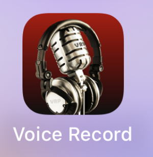 VoiceRecord